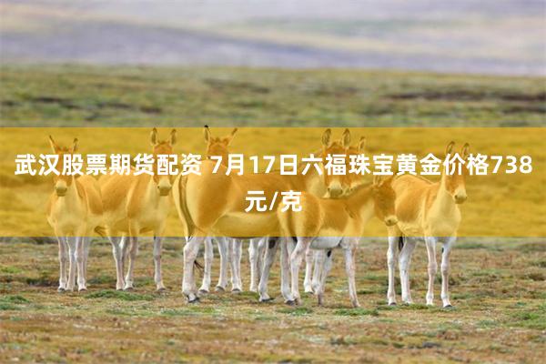 武汉股票期货配资 7月17日六福珠宝黄金价格738元/克