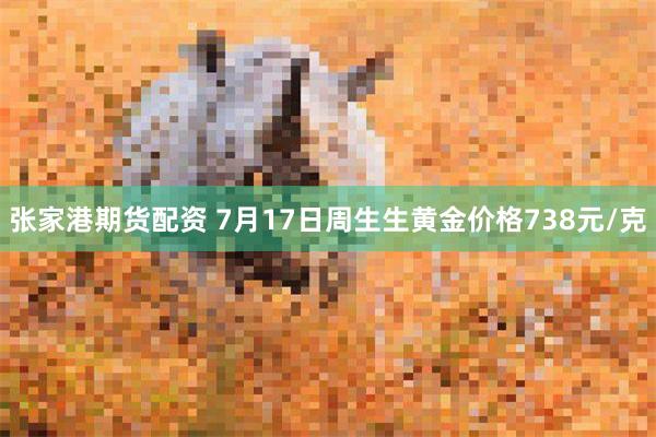 张家港期货配资 7月17日周生生黄金价格738元/克