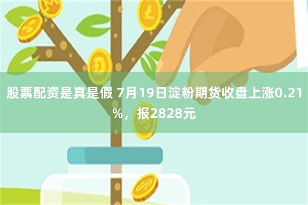 股票配资是真是假 7月19日淀粉期货收盘上涨0.21%，报2828元