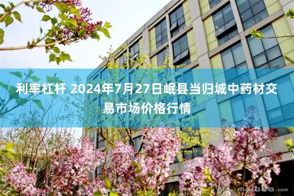 利率杠杆 2024年7月27日岷县当归城中药材交易市场价格行情