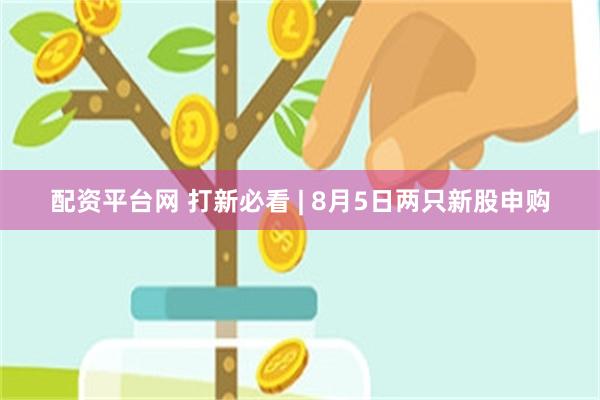 配资平台网 打新必看 | 8月5日两只新股申购