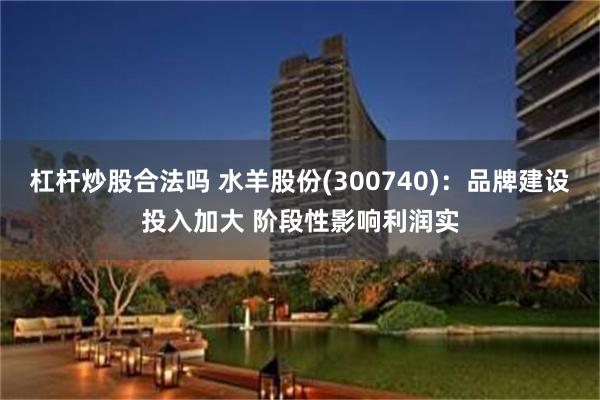 杠杆炒股合法吗 水羊股份(300740)：品牌建设投入加大 阶段性影响利润实