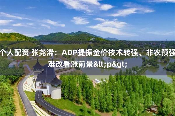 个人配资 张尧浠：ADP提振金价技术转强、非农预强难改看涨前景<p>