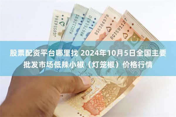 股票配资平台哪里找 2024年10月5日全国主要批发市场低辣小椒（灯笼椒）价格行情