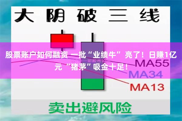 股票账户如何融资 一批“业绩牛” 亮了！日赚1亿元 “猪茅”吸金十足！