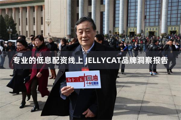 专业的低息配资线上 JELLYCAT品牌洞察报告