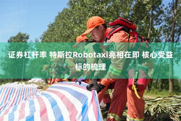 证券杠杆率 特斯拉Robotaxi亮相在即 核心受益标的梳理