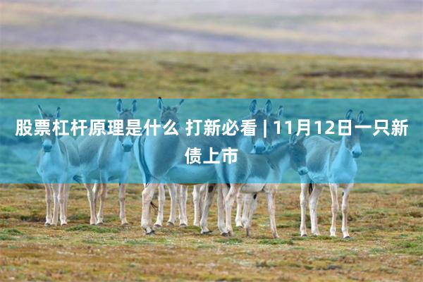 股票杠杆原理是什么 打新必看 | 11月12日一只新债上市