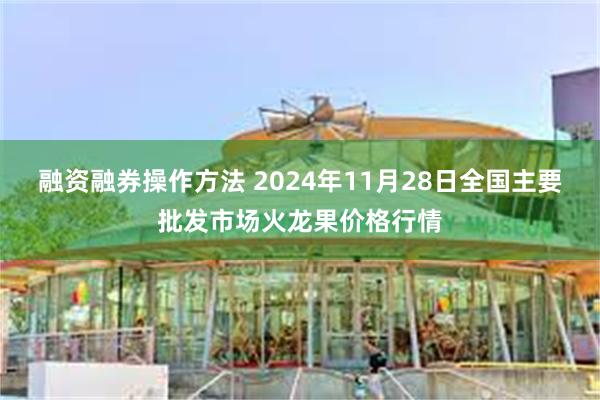 融资融券操作方法 2024年11月28日全国主要批发市场火龙果价格行情