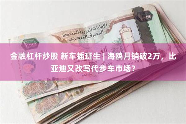 金融杠杆炒股 新车插班生 | 海鸥月销破2万，比亚迪又改写代步车市场？